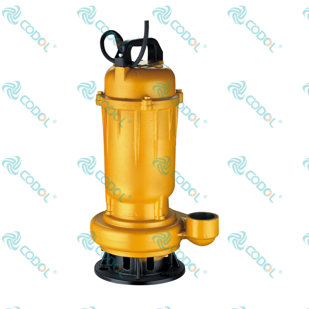 WQD 1024x1024